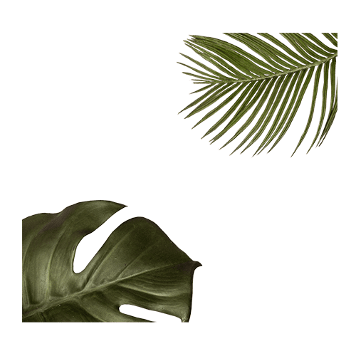 ԲՈՒՅՍ 6871