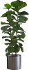 related1