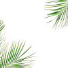 related1