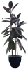 related1