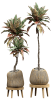 related1