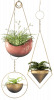 related1