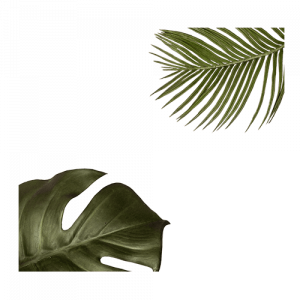 ԲՈՒՅՍ 6871