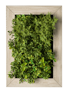 ԴԵԿՈՐԱՏԻՎ ՊԱՆԵԼ 5451