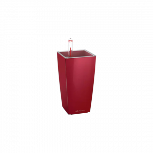 Ծաղկաման ինքնաջրվող Lechuza MINI-CUBI